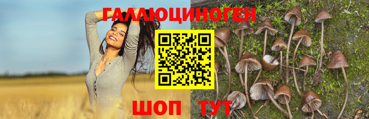 Псилоцибиновые грибы MAGIC MUSHROOMS Ковров