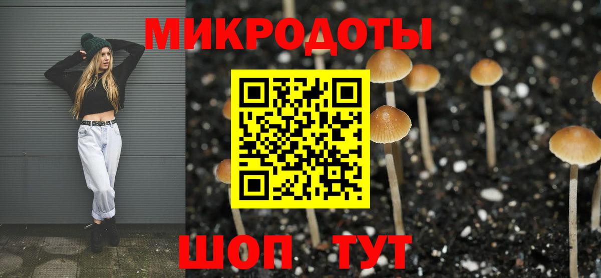 Галлюциногенные грибы ЛСД  Галлюциногенные грибы MAGIC MUSHROOMS  Ковров  Вход с VPN 